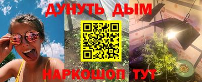 крисы Боровичи