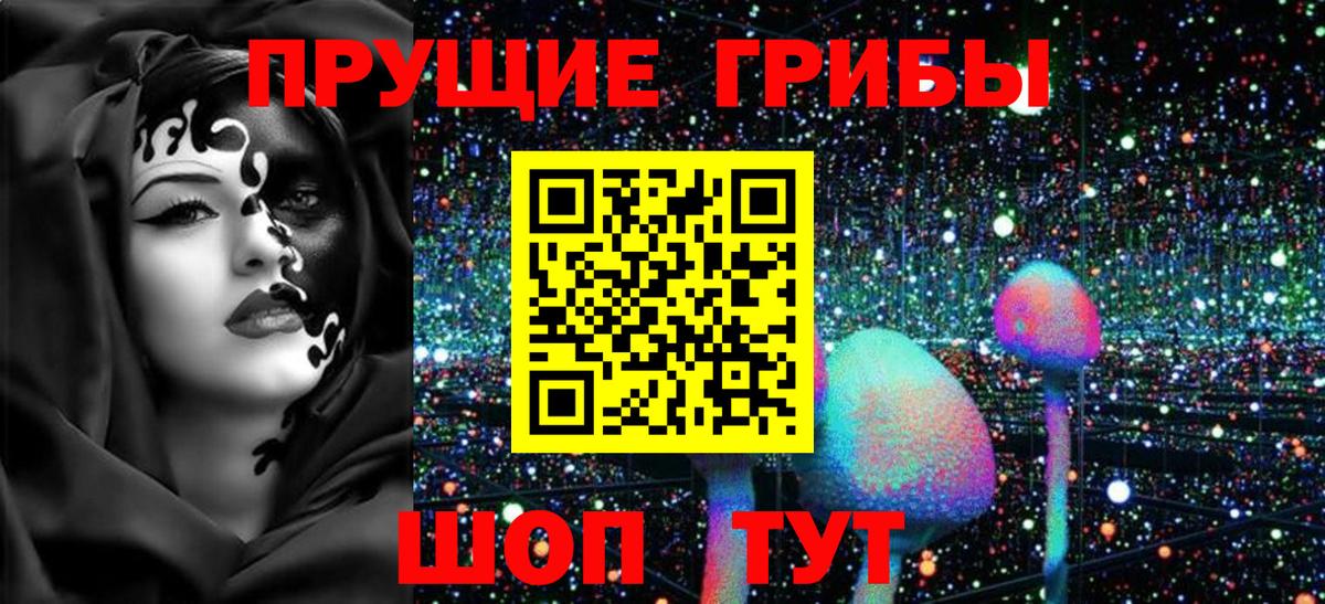 Азнакаево  Галлюциногенные грибы Psilocybe  где можно купить наркотик  Псилоцибиновые грибы GOLDEN TEACHER  Вход с VPN 